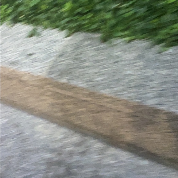 dianaaburto